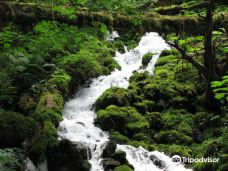 哥伦比亚河峡谷国家风景区-斯卡梅尼亚县
