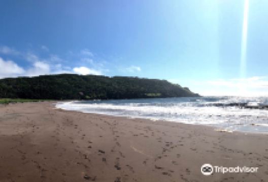 Gooseberry Cove Provincial Park景点图片
