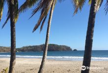 Playa Carrillo景点图片