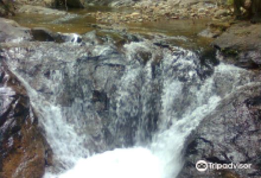 Sungai Yong Waterfalls景点图片