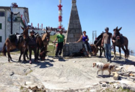 Centre de Tourisme Equestre Larrun Alde景点图片