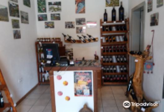 Vinoteka Dionis景点图片