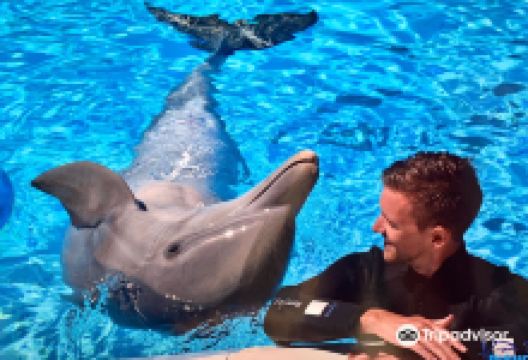 Mediterraneo Marine Park景点图片