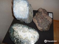 A. A. Chernov Geological Museum-瑟克特夫卡尔