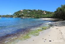 Hull Bay景点图片