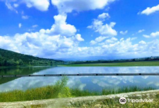 Parcul National Defileul Jiului景点图片