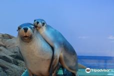 Coffs Coast Wildlife Sanctuary-考夫斯港