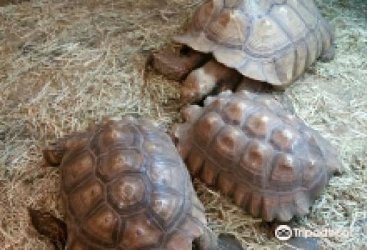 Scales and Tails Utah景点图片