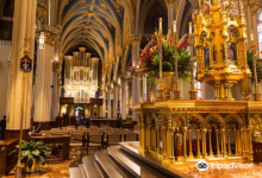 Basilica of the Sacred Heart景点图片