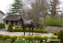 Coolmore America - Ashford Stud景点图片