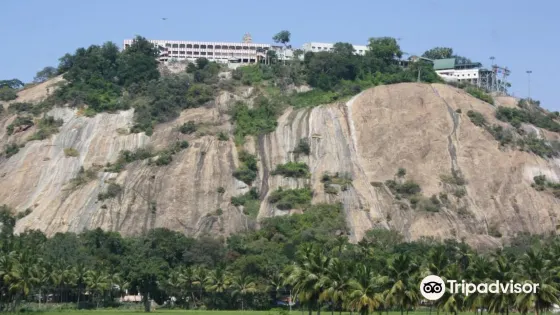 Palani