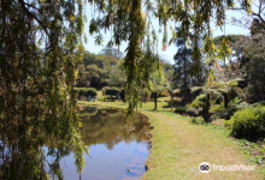 穆塔雷景点图片
