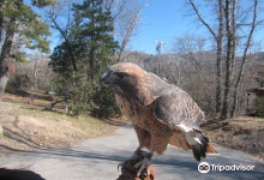 Wildhaven Ranch景点图片