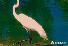 Thomas Creek Conservation Area景点图片