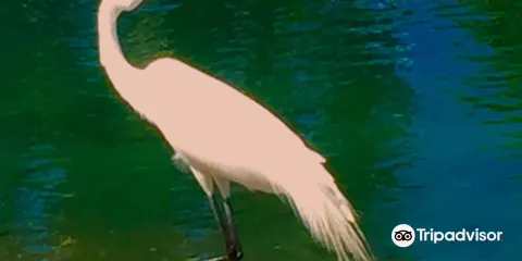 Thomas Creek Conservation Area