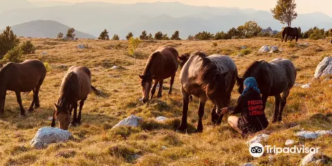 Labyrinth Novi Vinodolski
