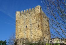 Torre de Lezana de Mena景点图片