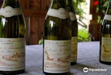Domaine Pascal Henriot景点图片