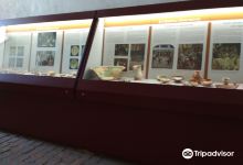 Museo Civico Archeologico Aquaria景点图片