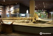 Endemic Species Research Institute - Ecology Education Park景点图片