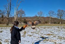 Lake District Wildlife Park景点图片