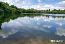 Whitley Nature Reserve景点图片