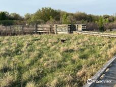 Great Plains Nature Center-威奇托