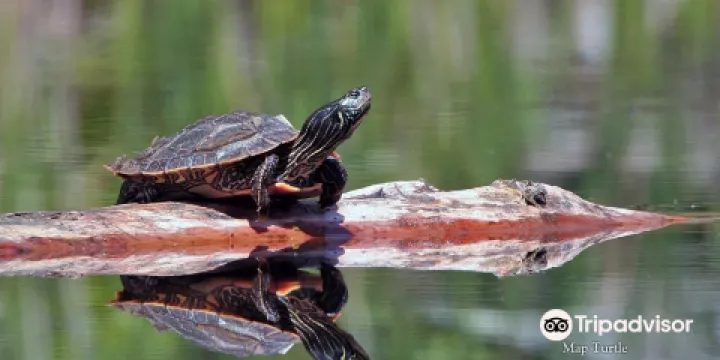 Rideau Canal - Jones Falls Defensible Lockmasters House