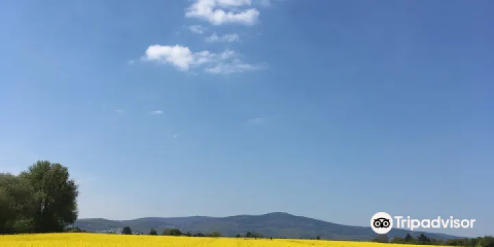 美茵-陶努斯苗圃園