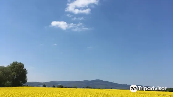 美茵-陶努斯苗圃園