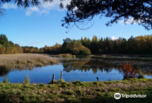 Devilla Forest景点图片