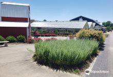 Eckert's Belleville Farm景点图片