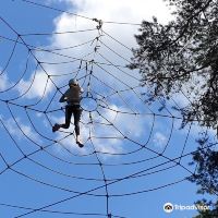 阿隆达图片
