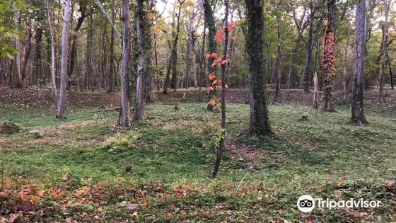 Kiusu Earthwork Burial Circles