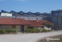 Butterfly Farm d'Abruzzo景点图片
