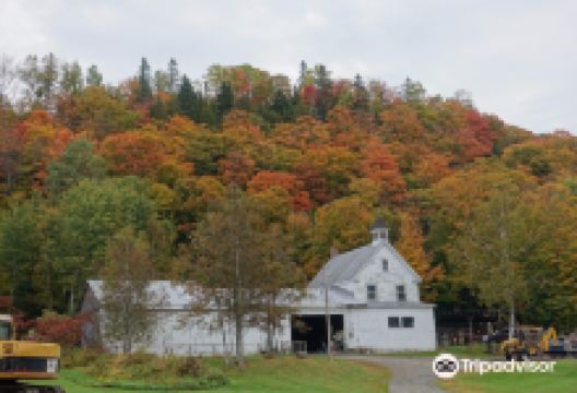 Highway 100景点图片