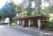 Sun Moon Lake Butterfly Garden景点图片