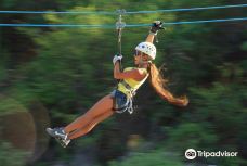 神圣之地 - 卡波探险-拉巴斯