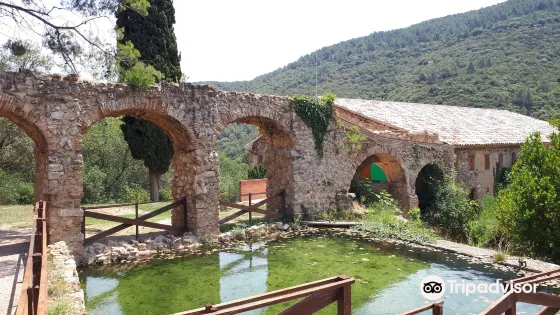 Niu de l'Aliga