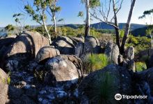 Gibraltar Range National Park景点图片