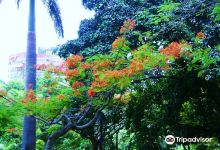 Parque Fernando Penalver景点图片