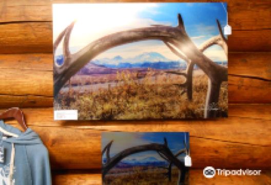 Evelyn Adams Photography购物图片