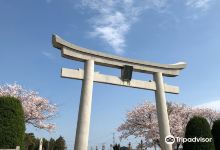 鹤谷八幡宫景点图片
