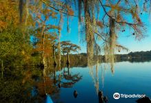 Jones Lake State Park景点图片
