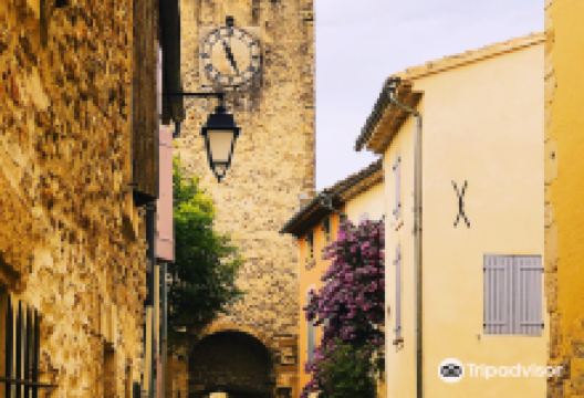 Musee de la truffe et du vin景点图片