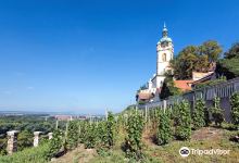 Chateau Melnik景点图片