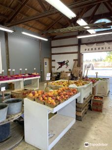 Davis Family Farm-本顿县