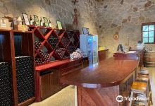 La Cantina Vineyard景点图片