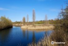 Parc Departemental de la Haute Ile景点图片