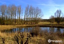 Natuurpark Lelystad景点图片